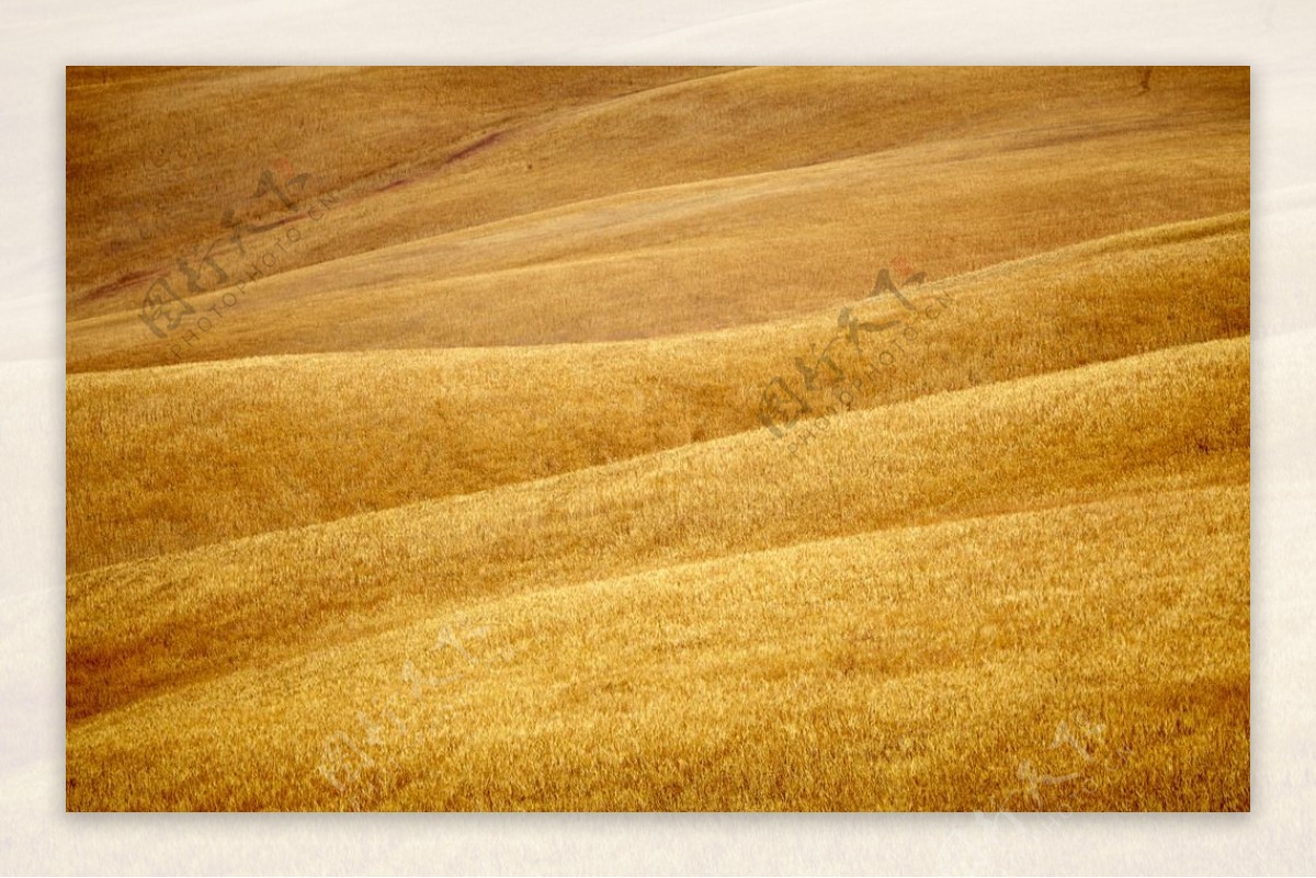 秋季草原风景图片