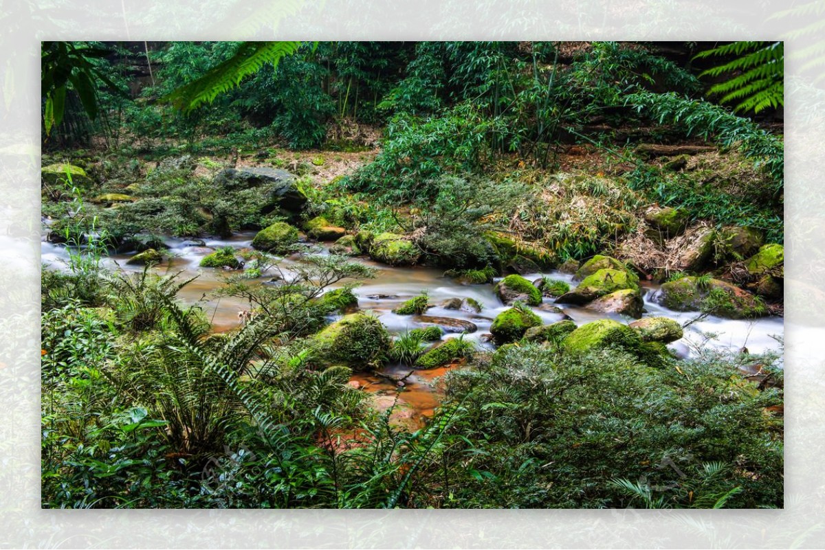 赤水四洞沟图片