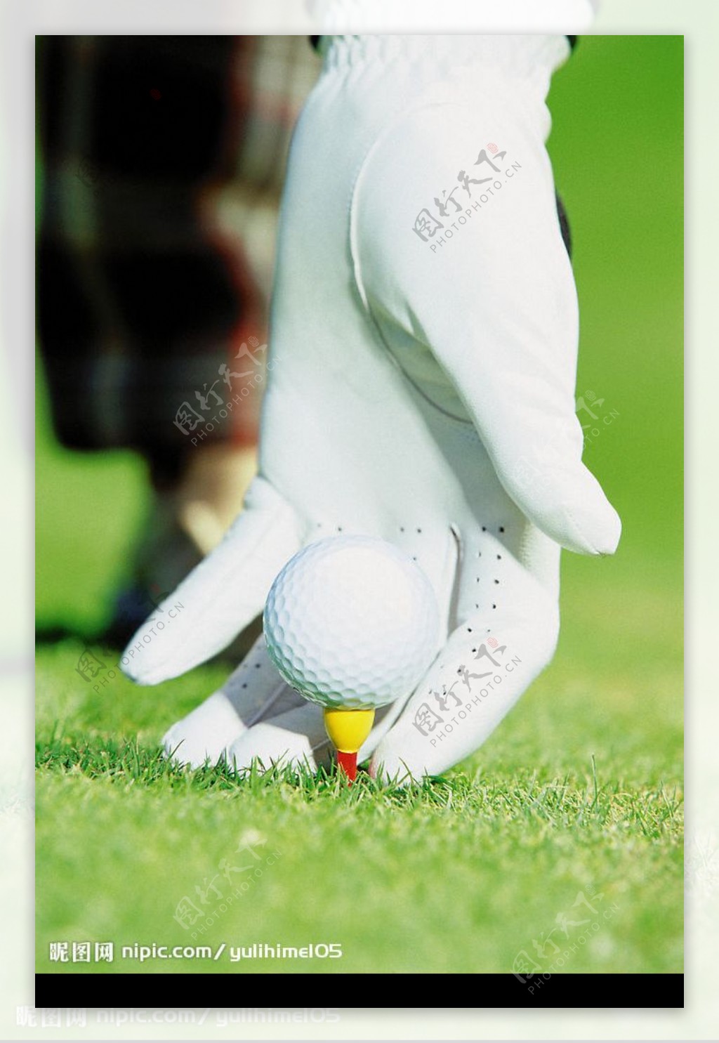 戴手套的手和高尔夫球图片