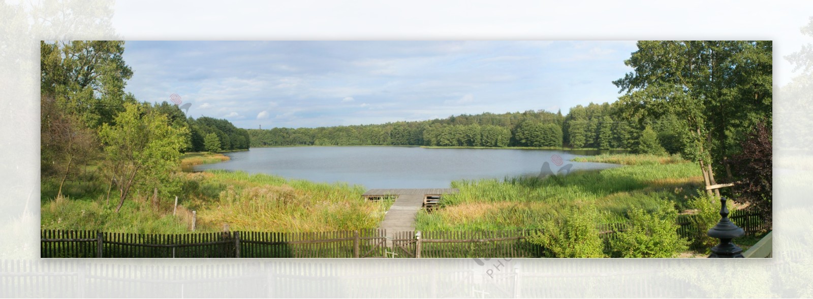 大幅画池塘水库树林全景图片