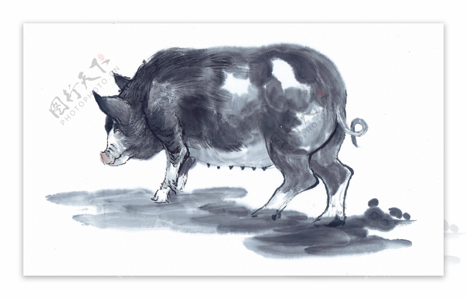 手绘十二生肖猪图片