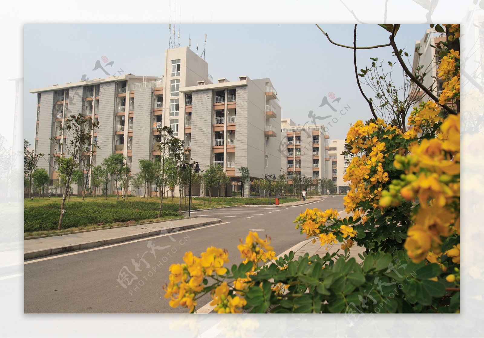 重庆大学校园风景图片