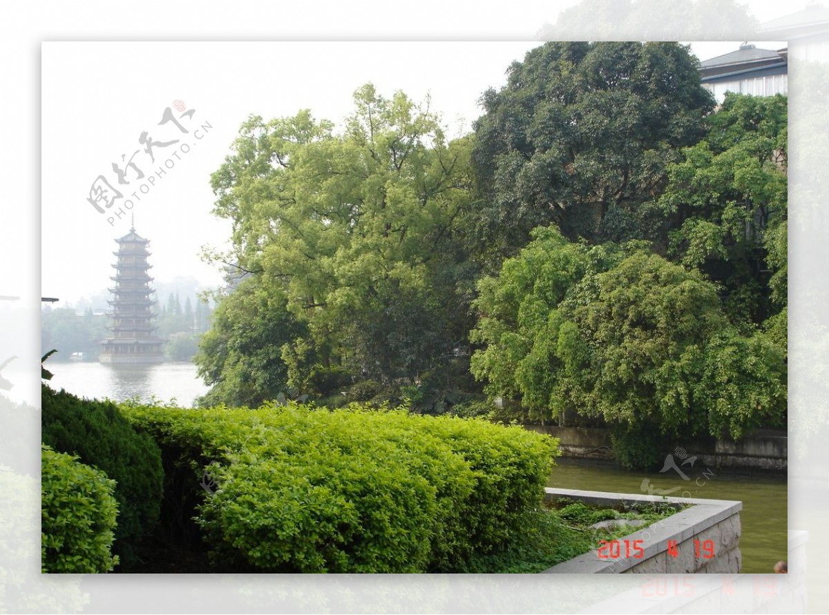 桂林杉湖风景图片