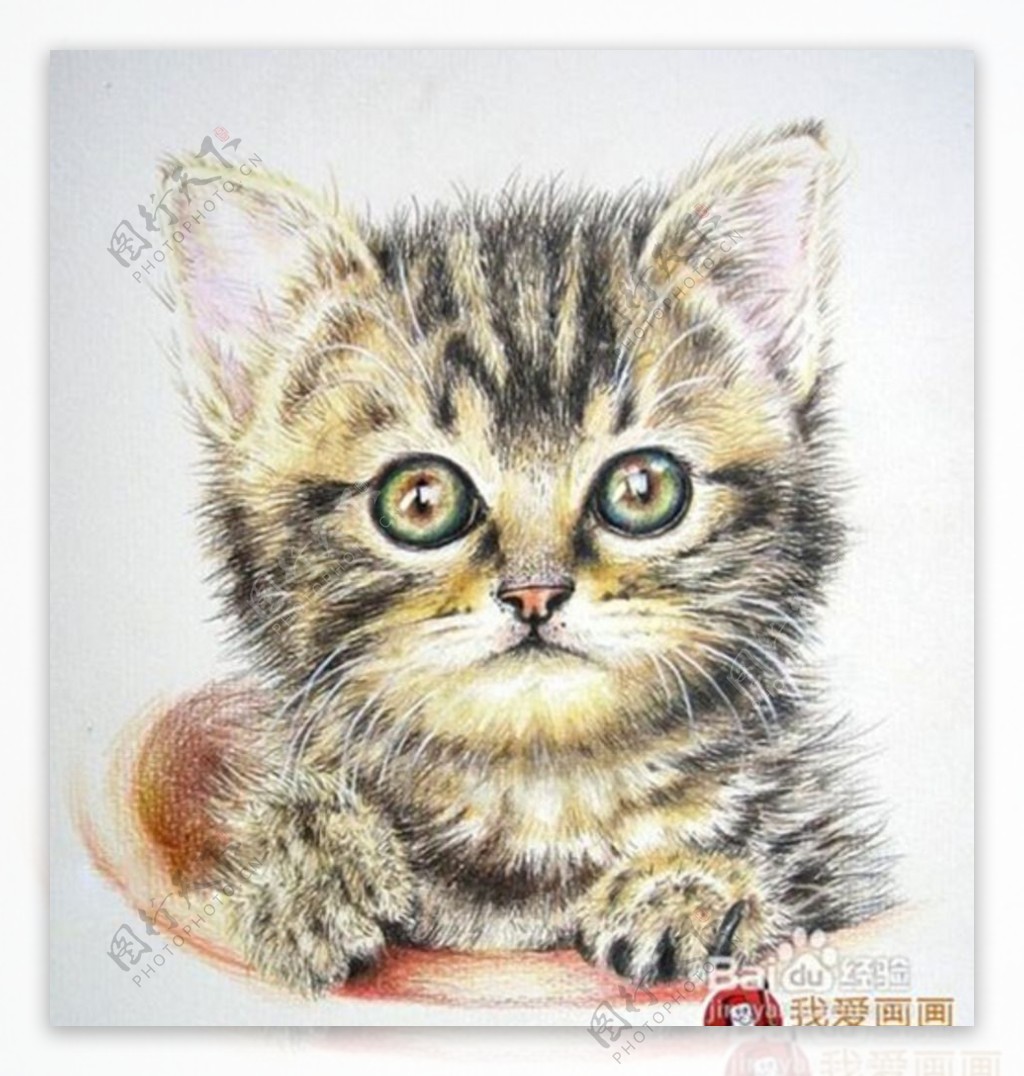 彩色铅笔画猫咪图片