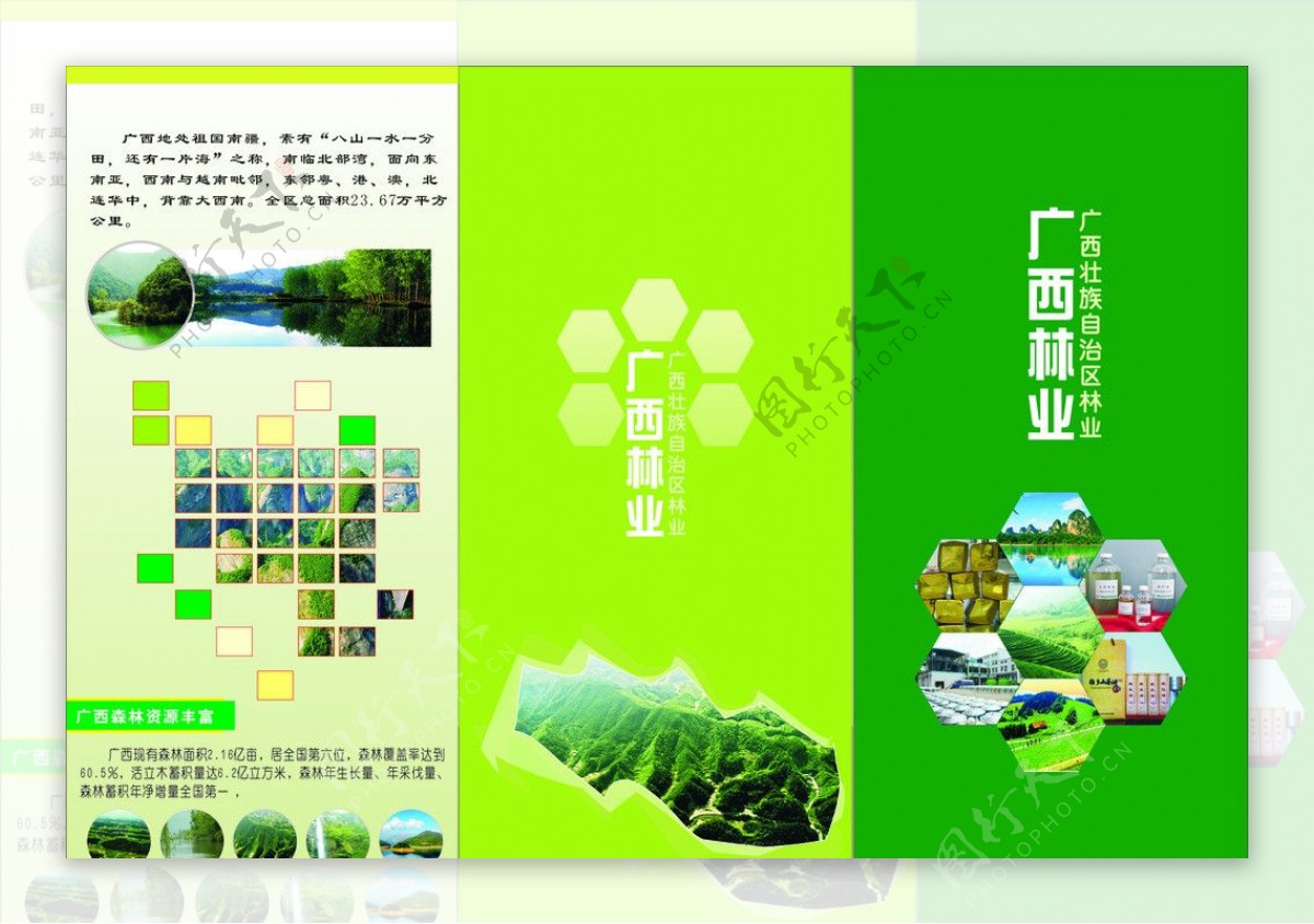 广西林业折页图片