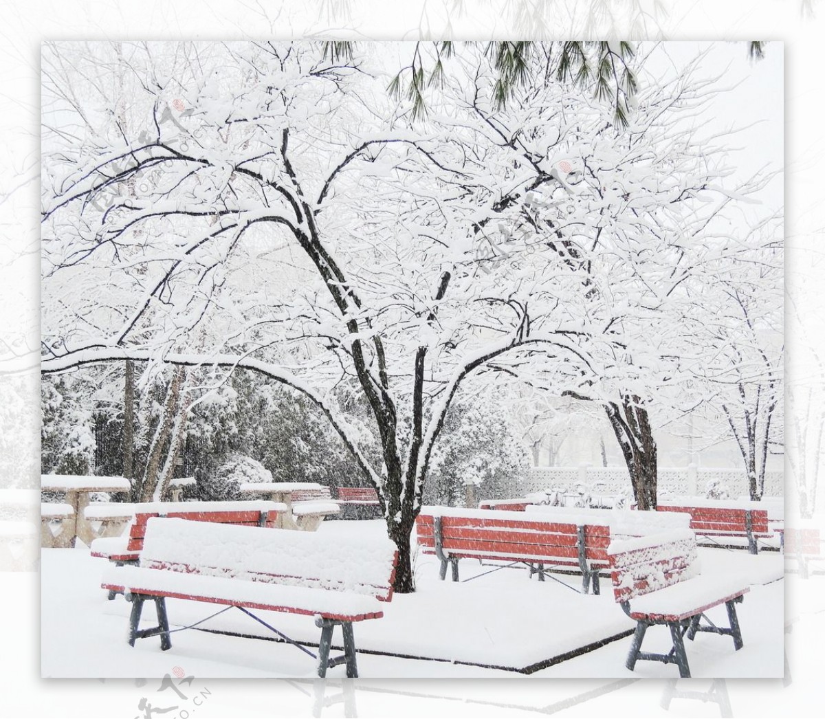 雪景图片