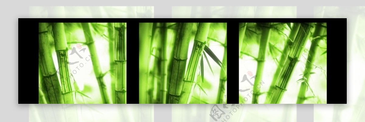 竹子无框画图片