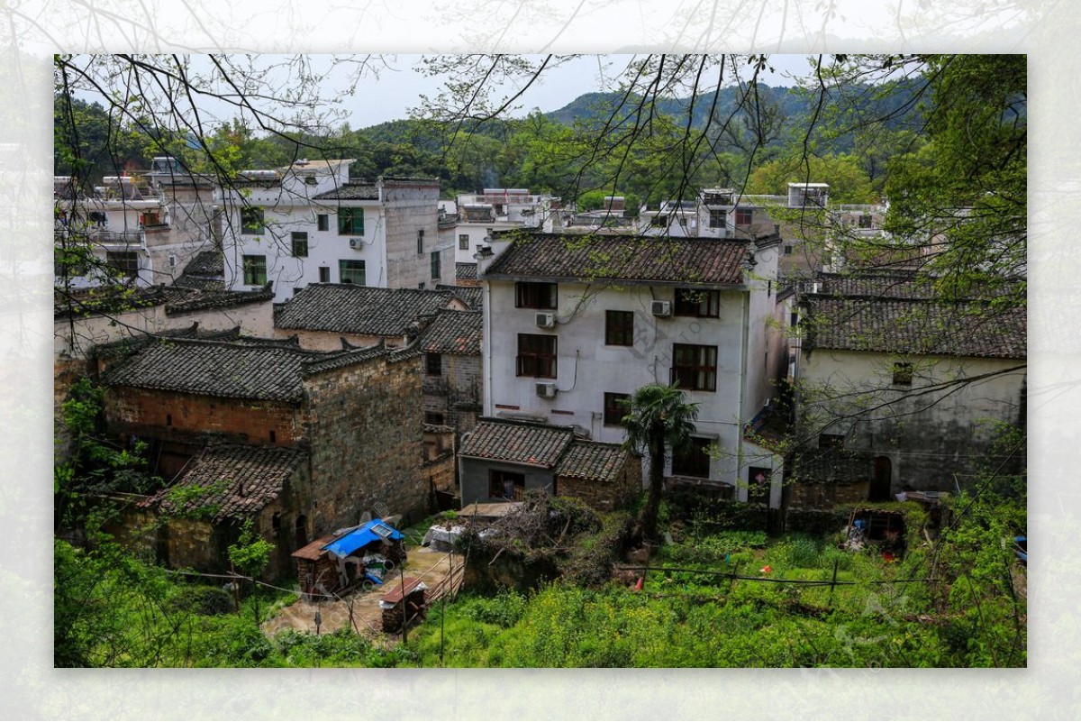 婺源晓起村图片