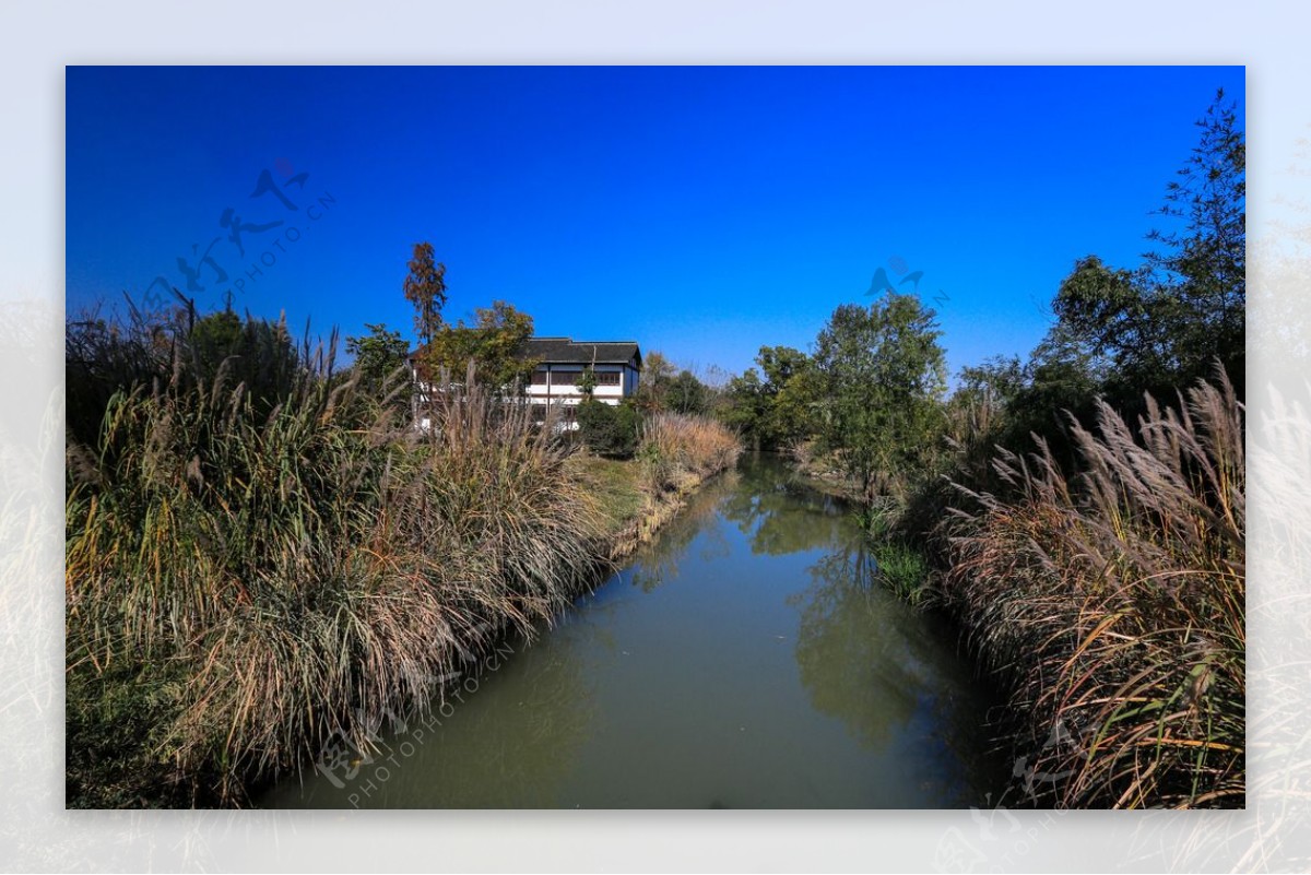西溪湿地洪园图片