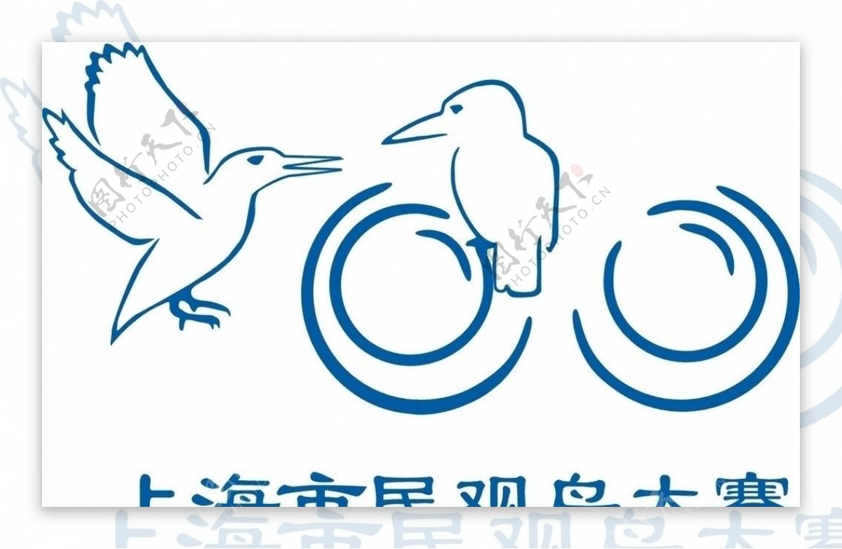 上海市民观鸟比赛图片
