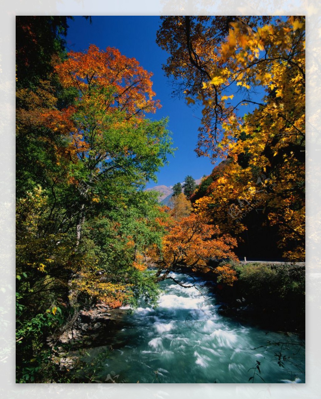 蓝天下秋天中的小溪图片