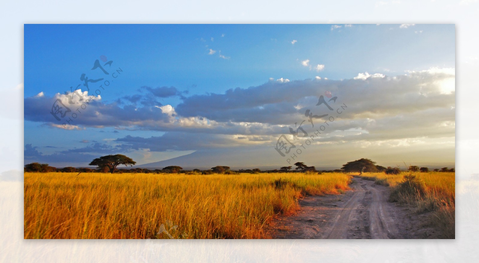 非洲大草原风光图片