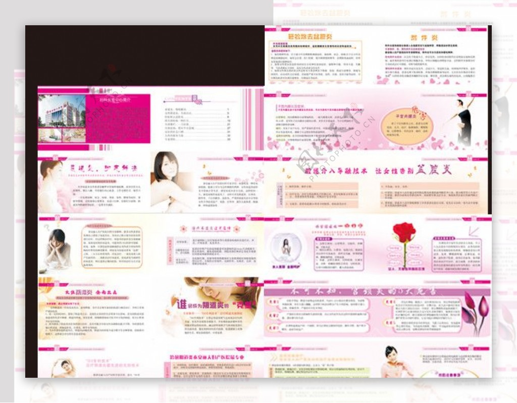 女性健康手册图片
