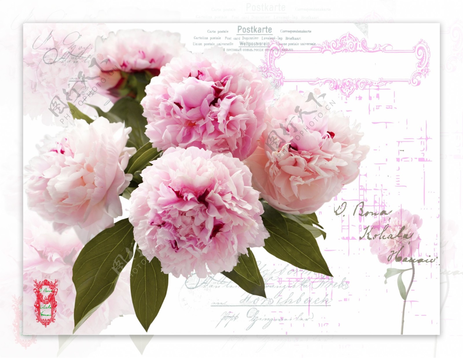 粉色花树图片素材-编号22954887-图行天下