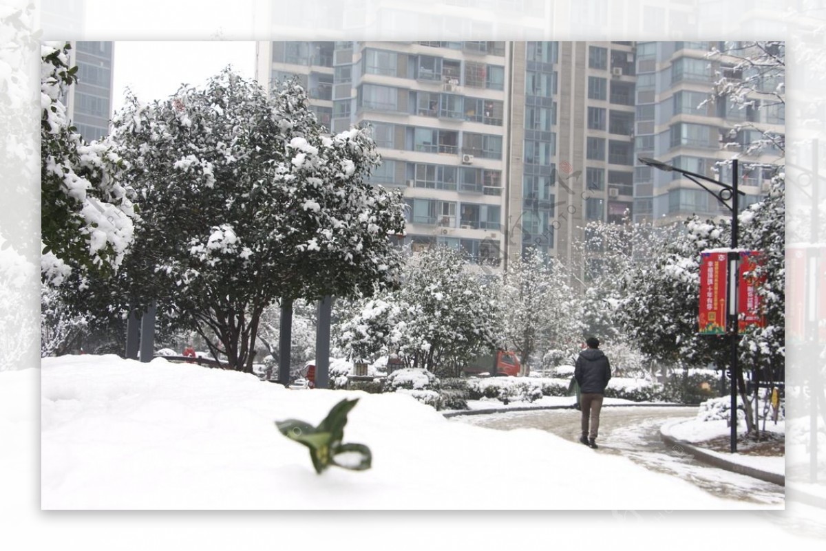 雪景图片