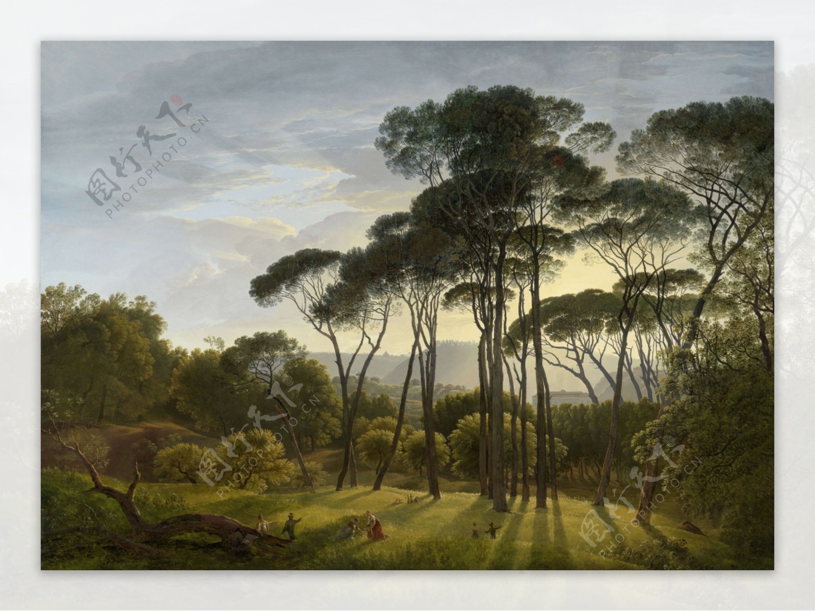 油画枞树林图片