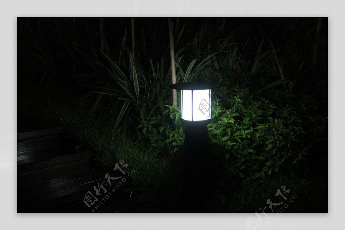 LED草坪灯图片