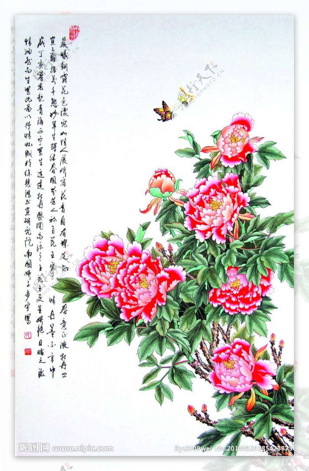 蝶恋花图片