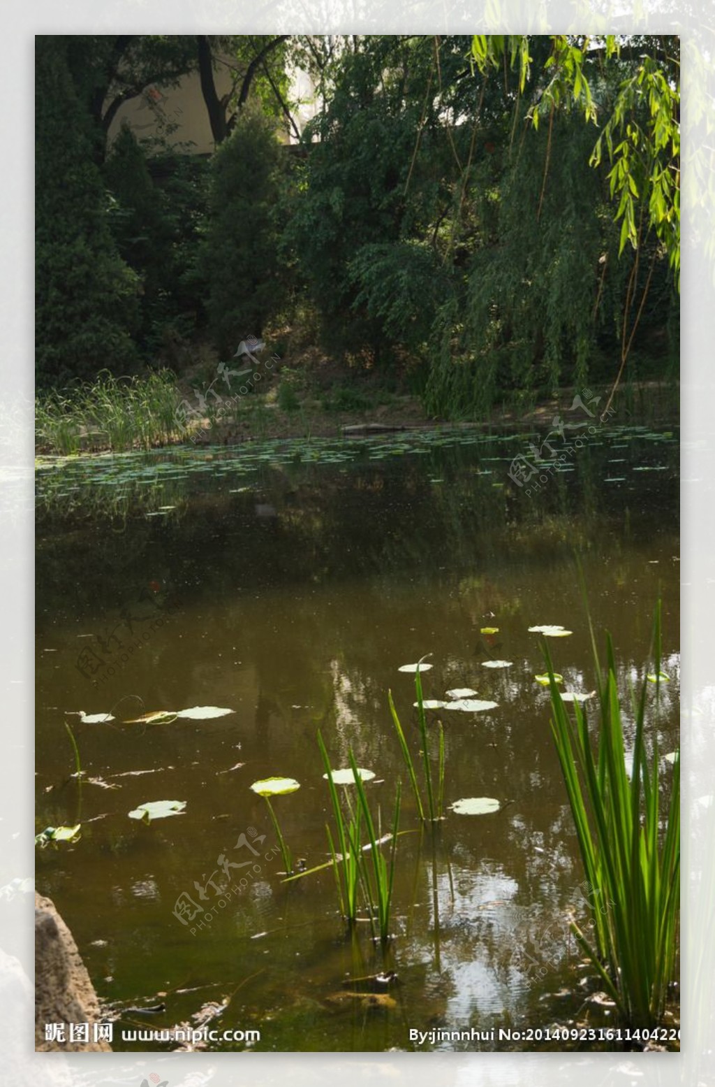 池塘景观图片