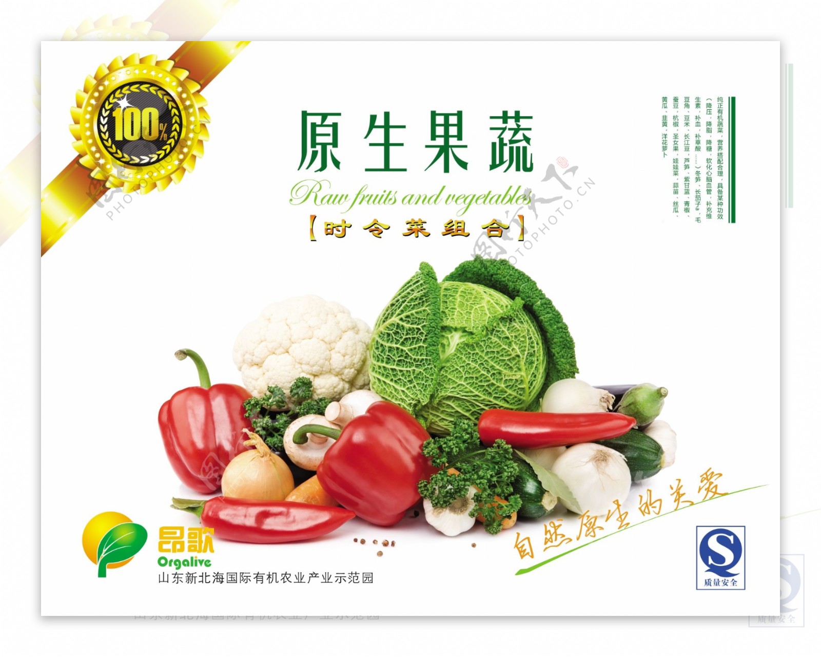 蔬菜包装设计图片