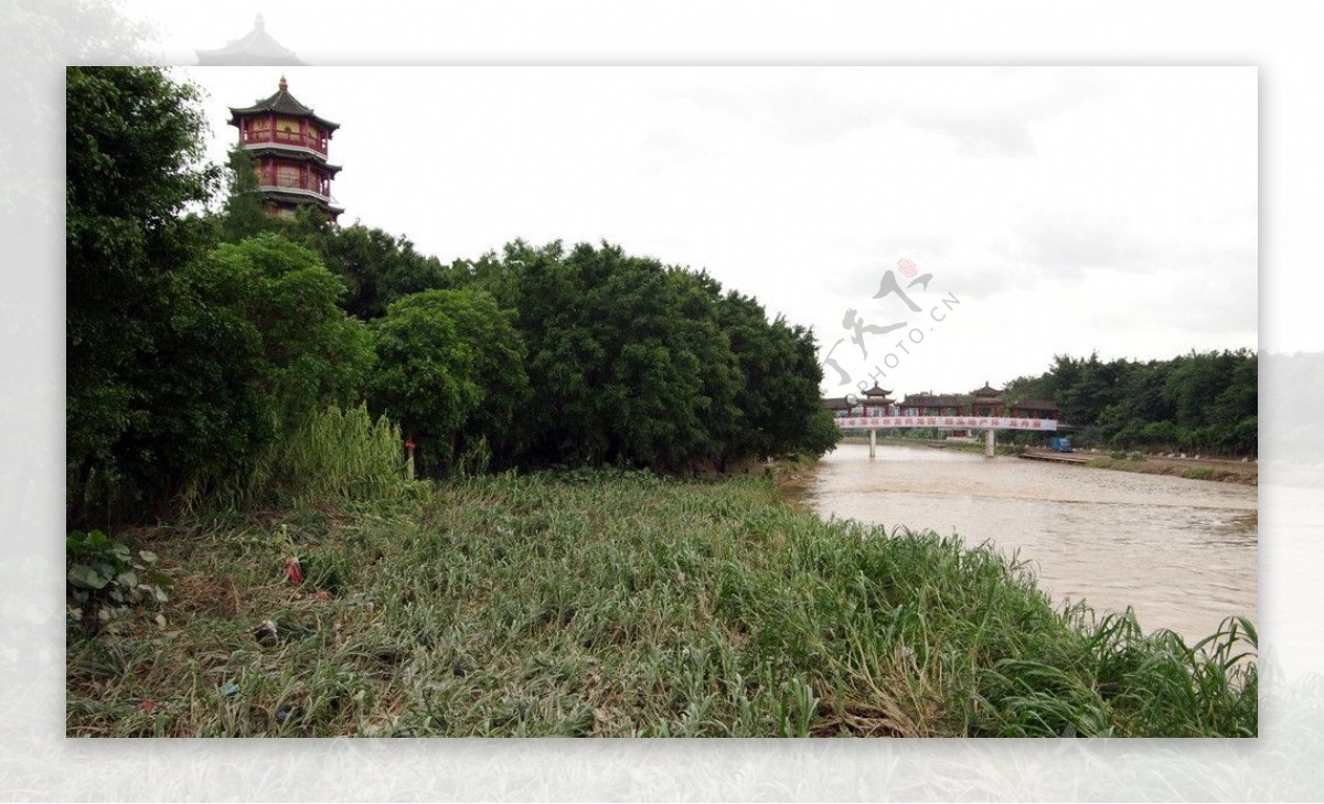 深圳龙岗河景观图片