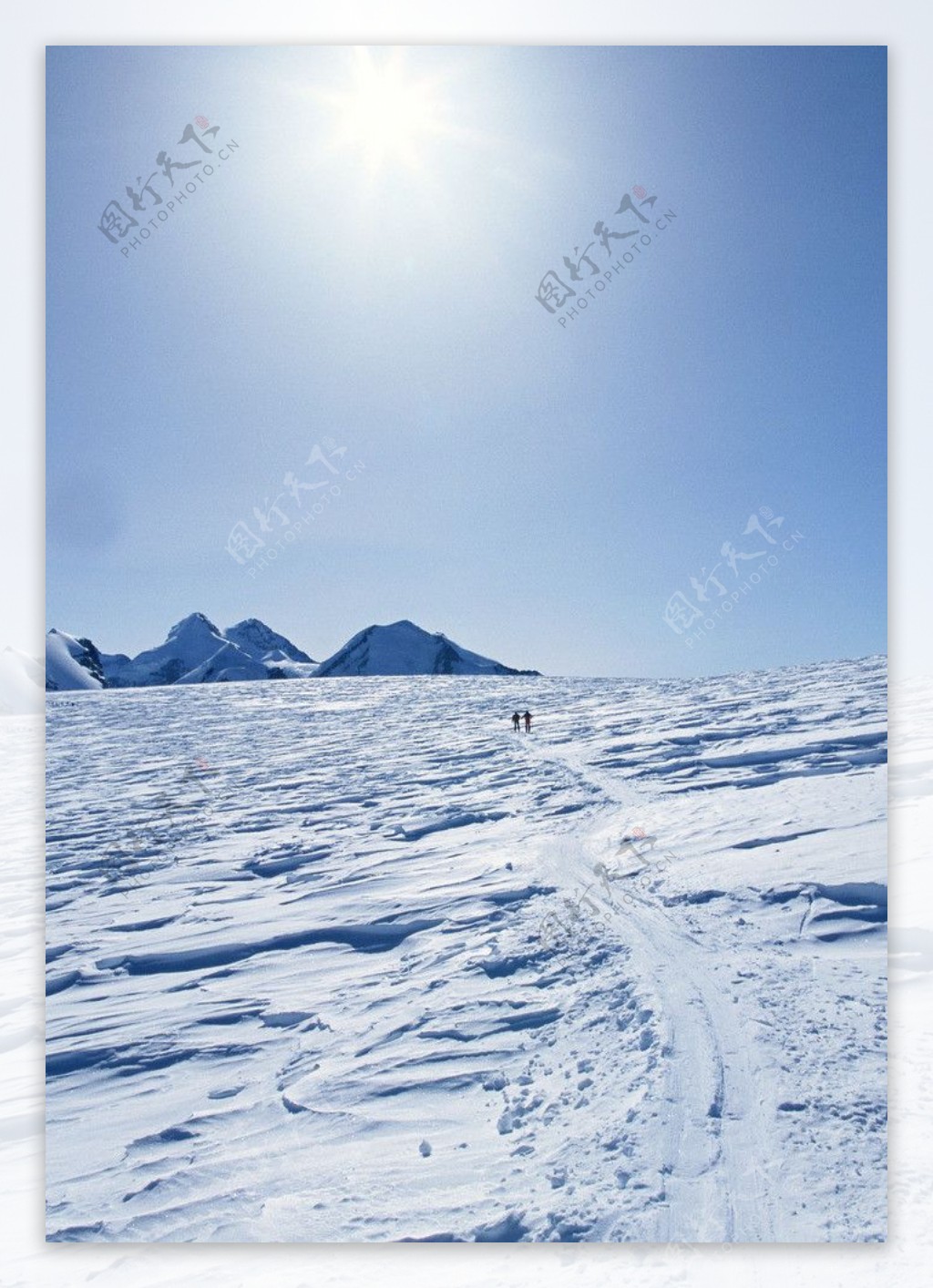 滑雪图片