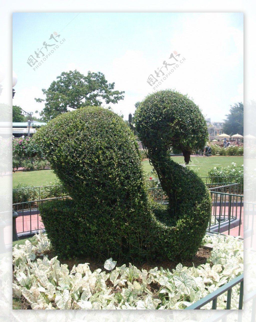 天鹅植物园艺植物雕塑造型公园图片