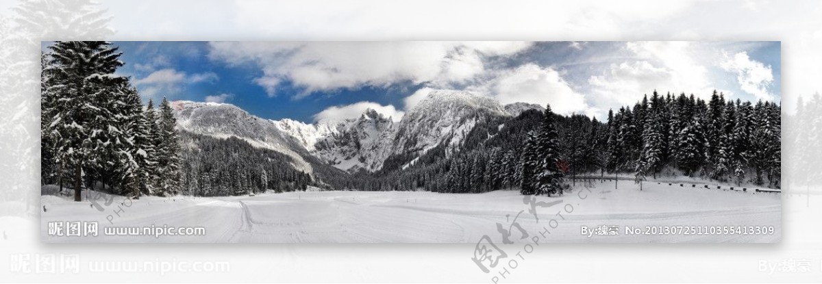 雪山树林与雪地风景图片