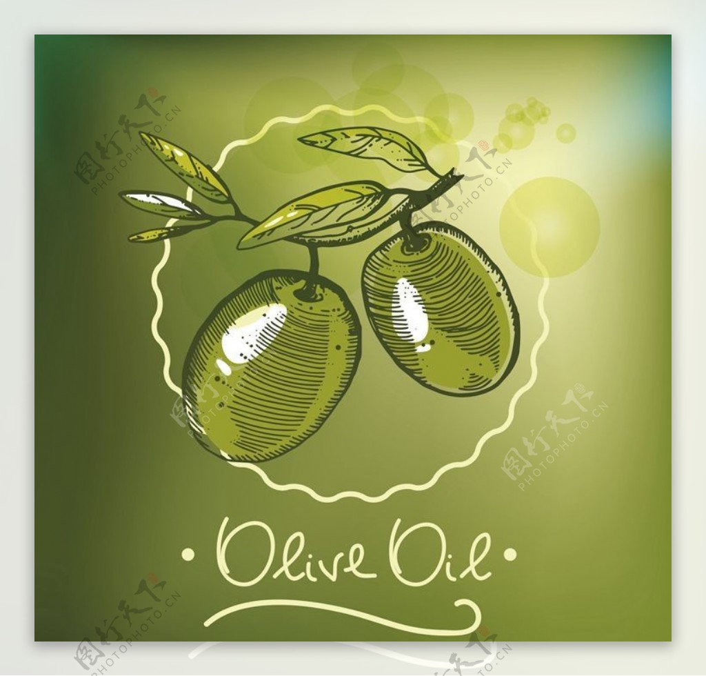 橄榄油橄榄树橄榄叶图片