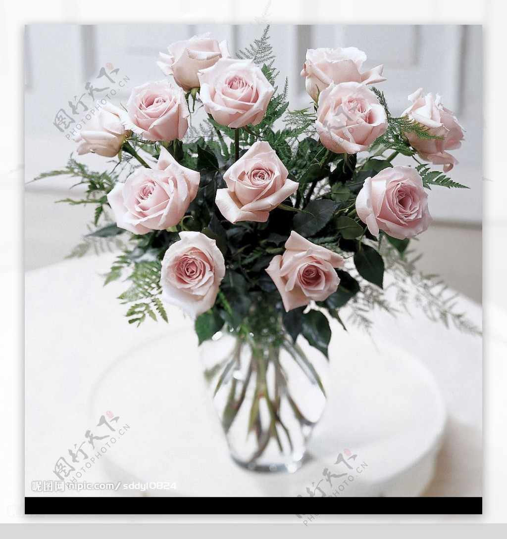 花瓶里的浅粉色玫瑰图片