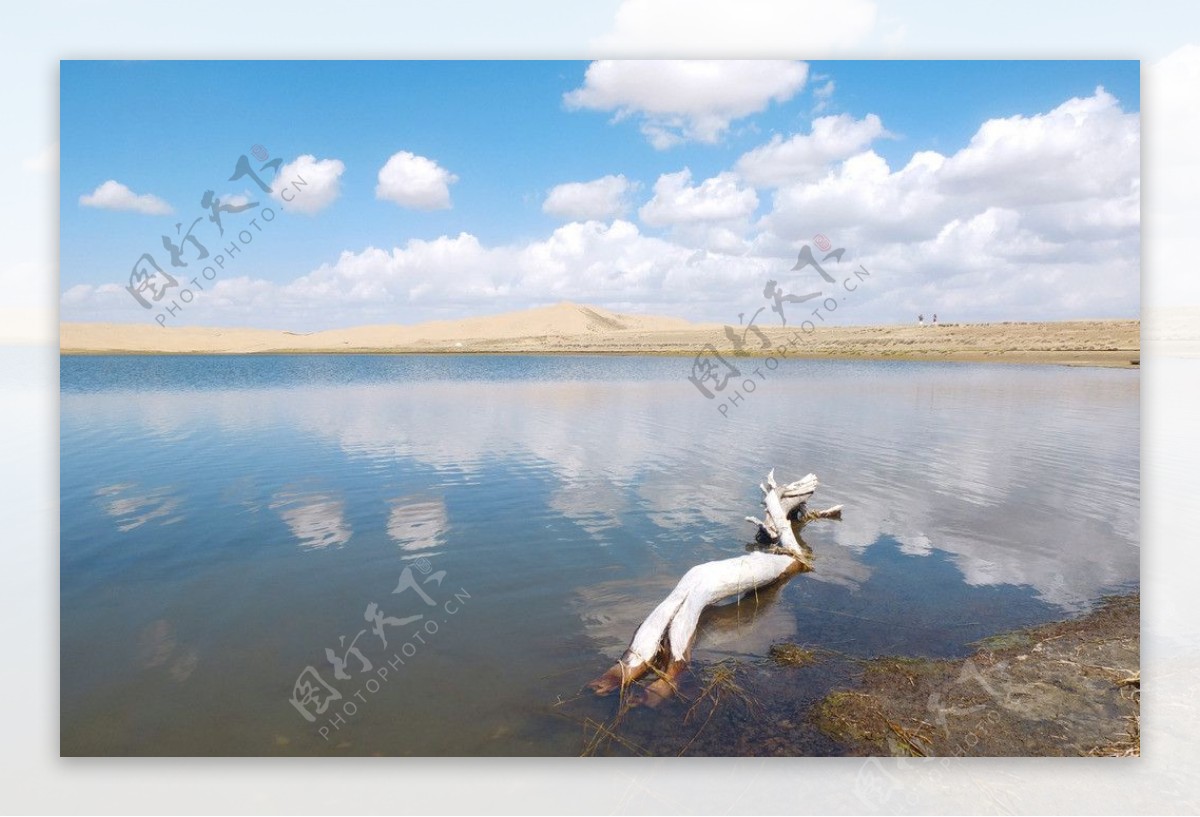 青海湖沙岛图片