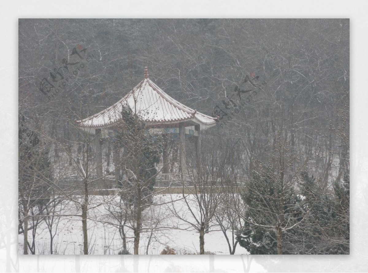 雪夜观山图片