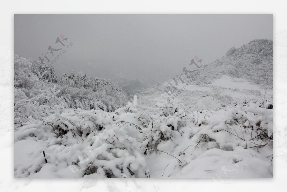 雪景图片