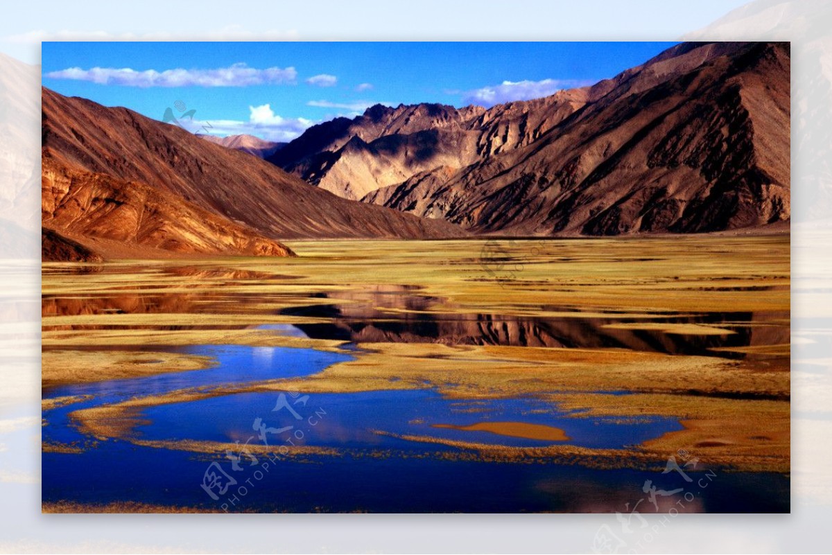 新疆高原生态湿地图片