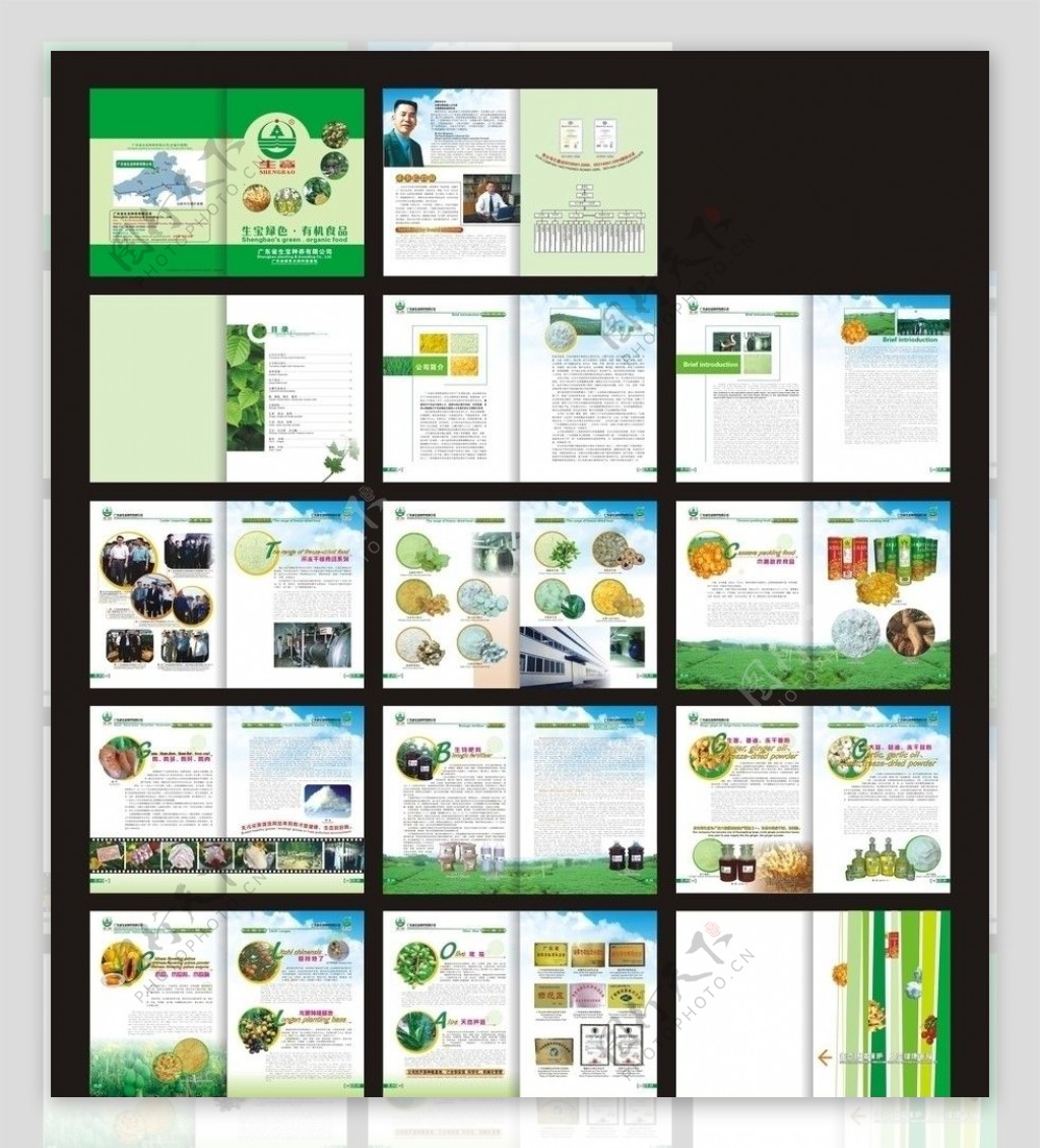生宝种养画册绿色有机食品画册图片