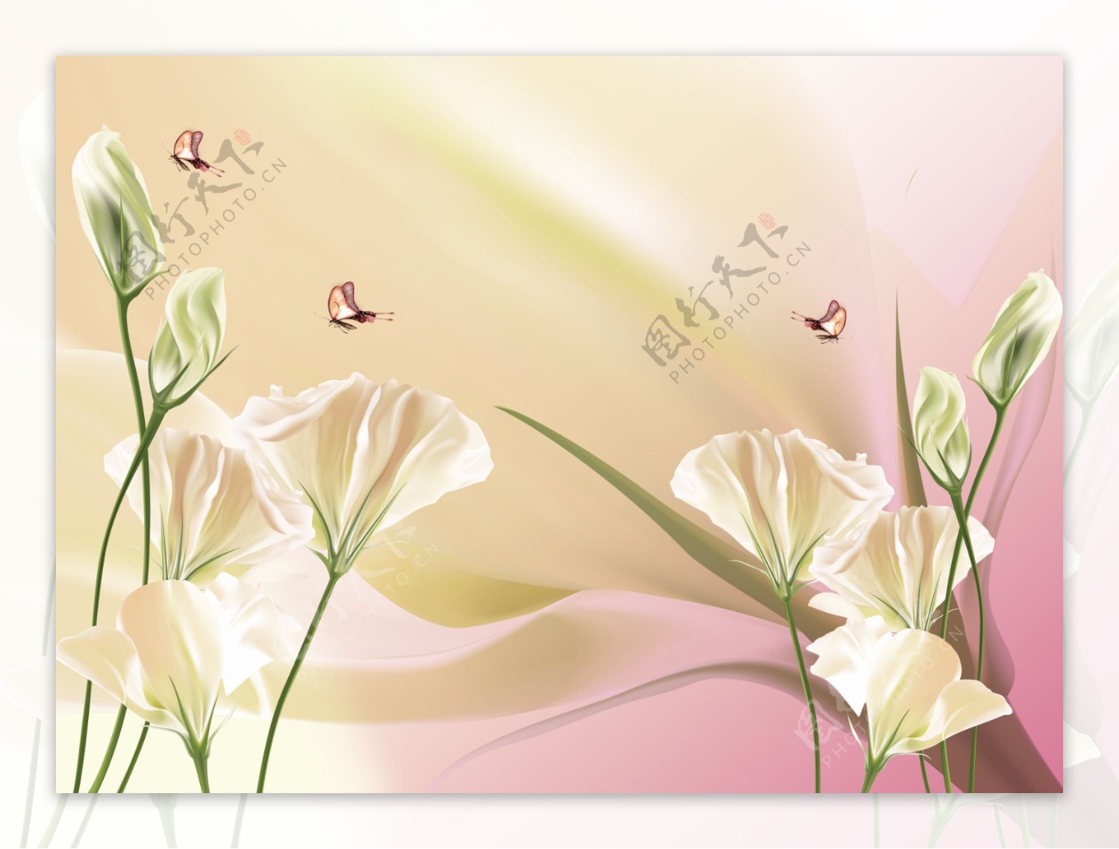 花朵背景墙图片