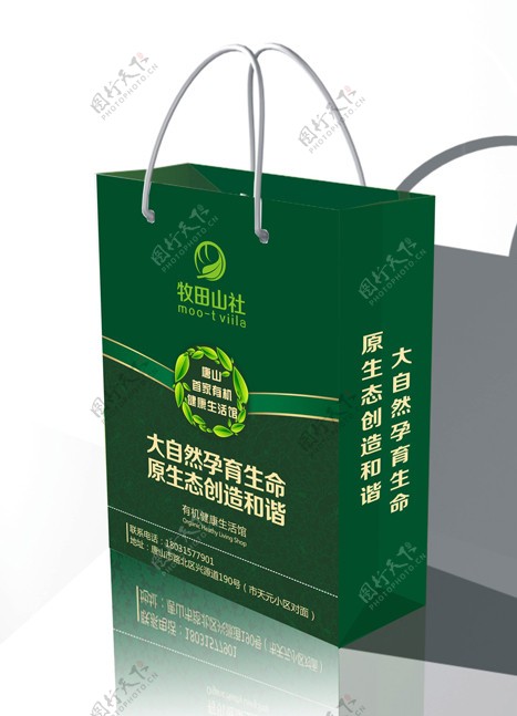 有机健康食品手提袋设计展开图图片