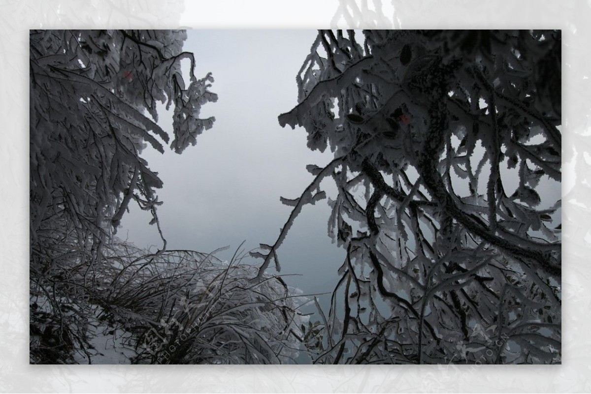 雪山景色图片