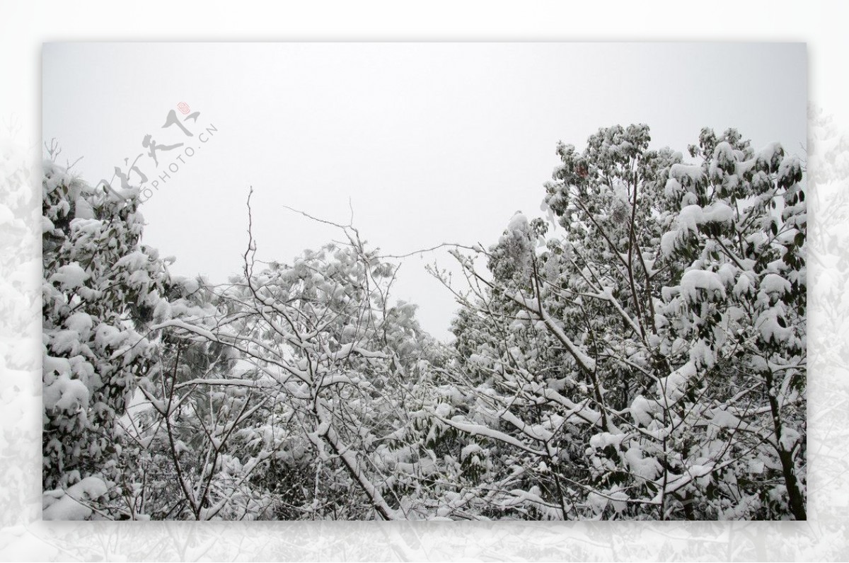 雪景图片