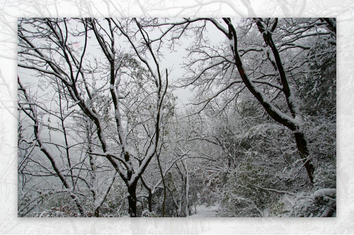 雪景图片