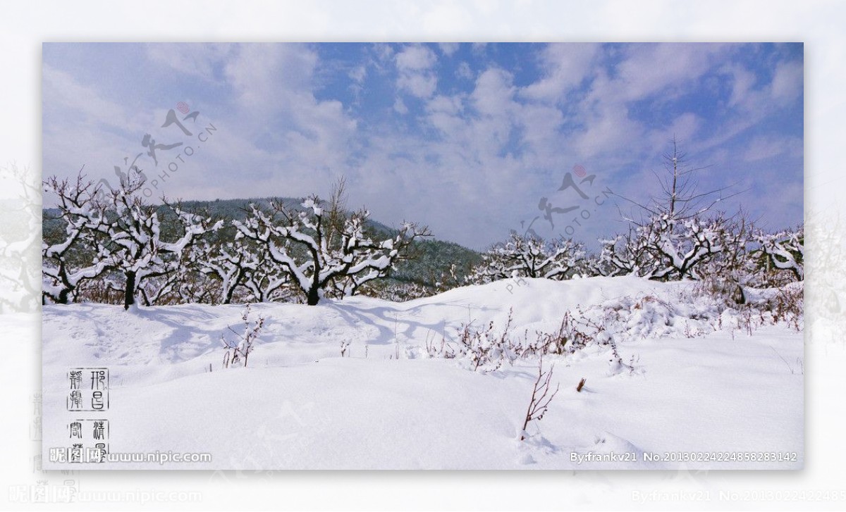 大雪初晴图片