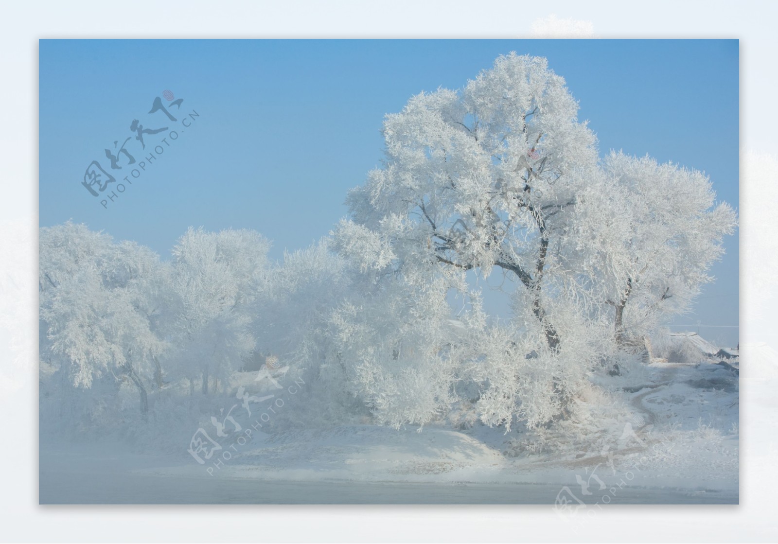 雪地雾凇图片