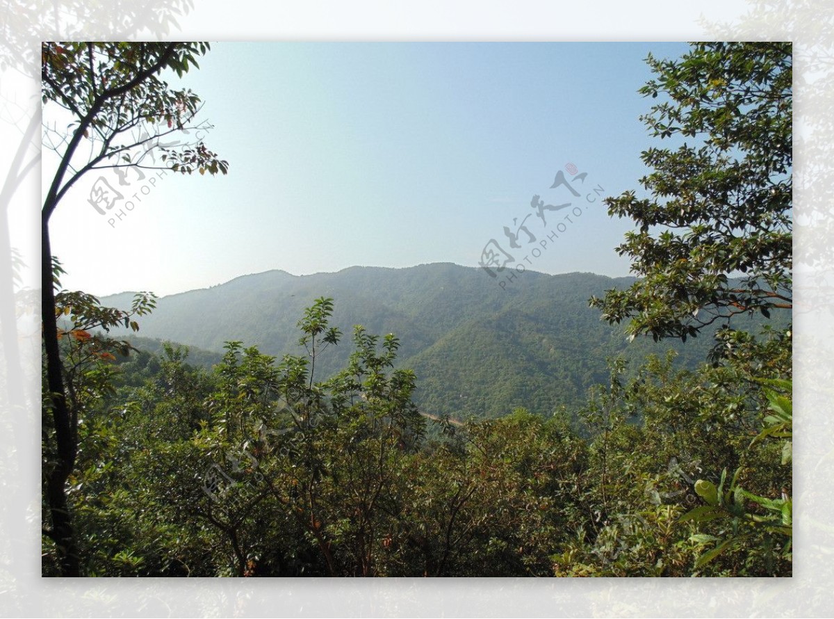 羊台山风景图片