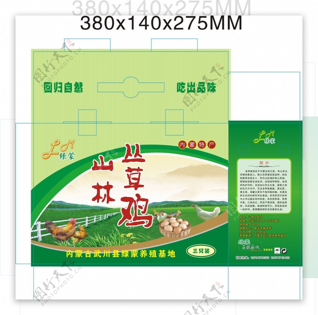 绿蒙鸡箱图片