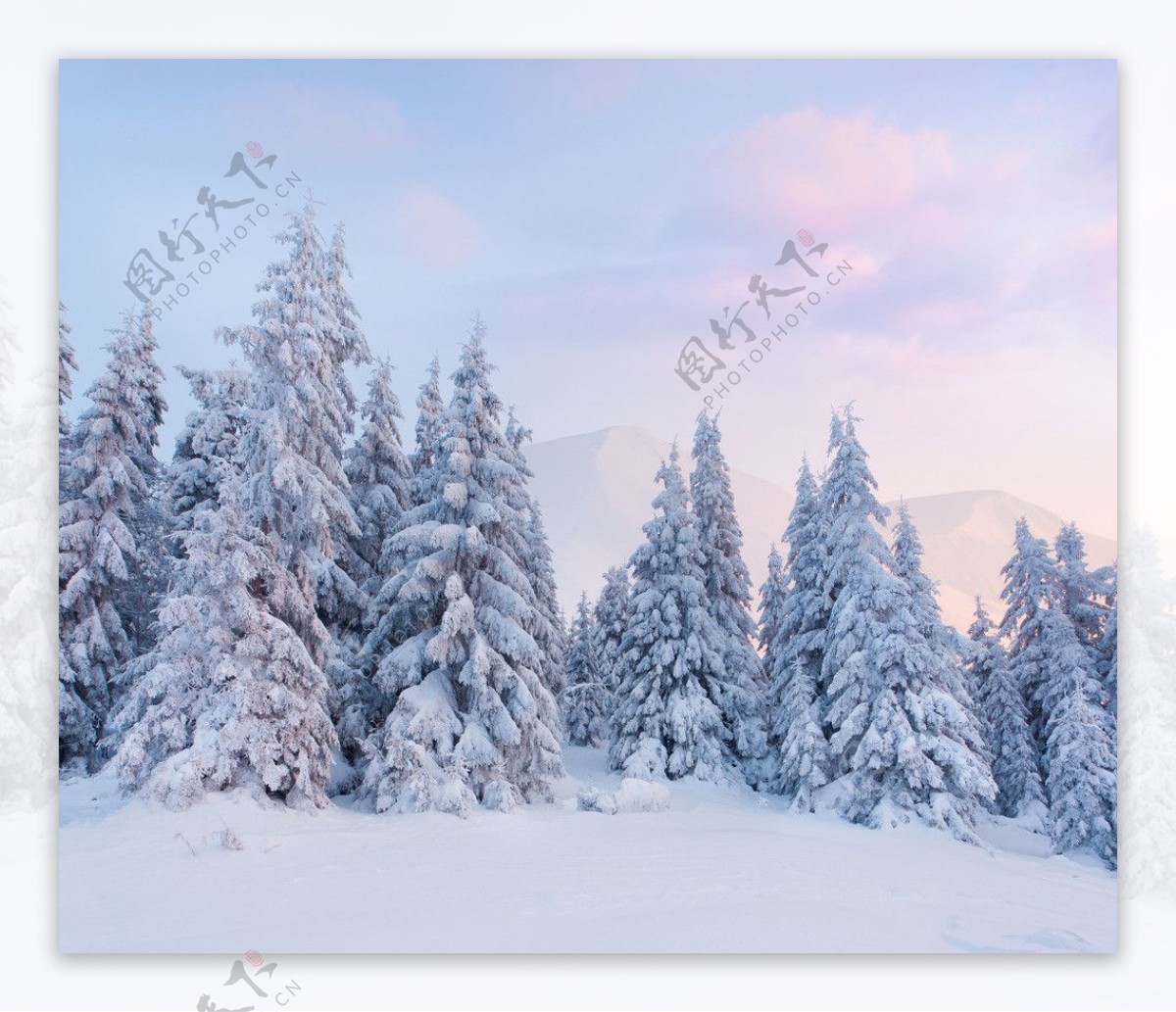 冬季雪景图片