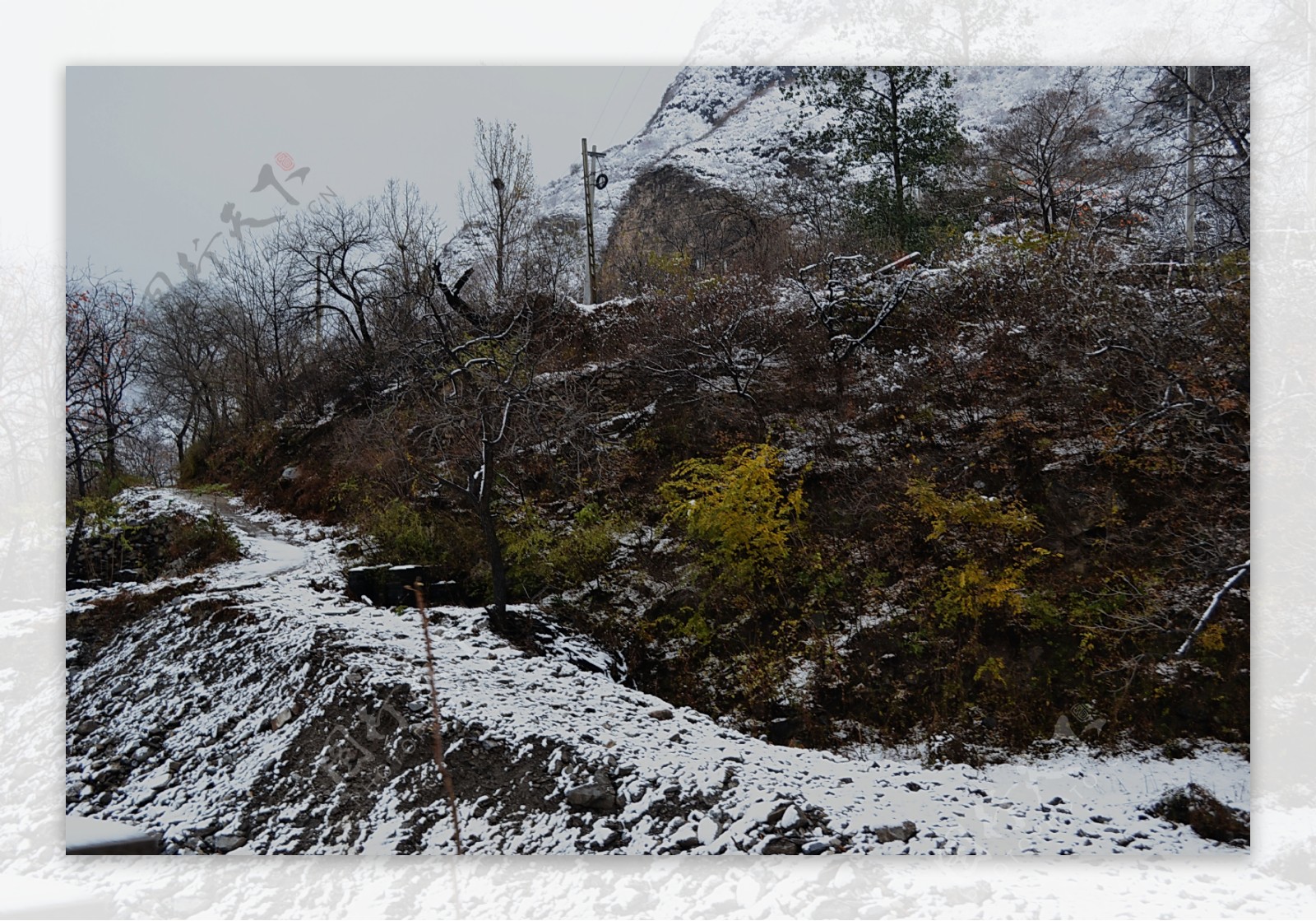 泗沟的初雪图片