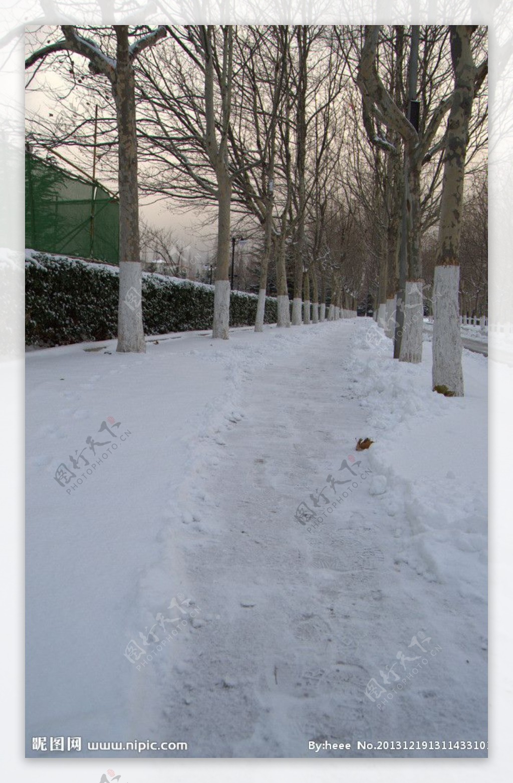 雪后人行道图片