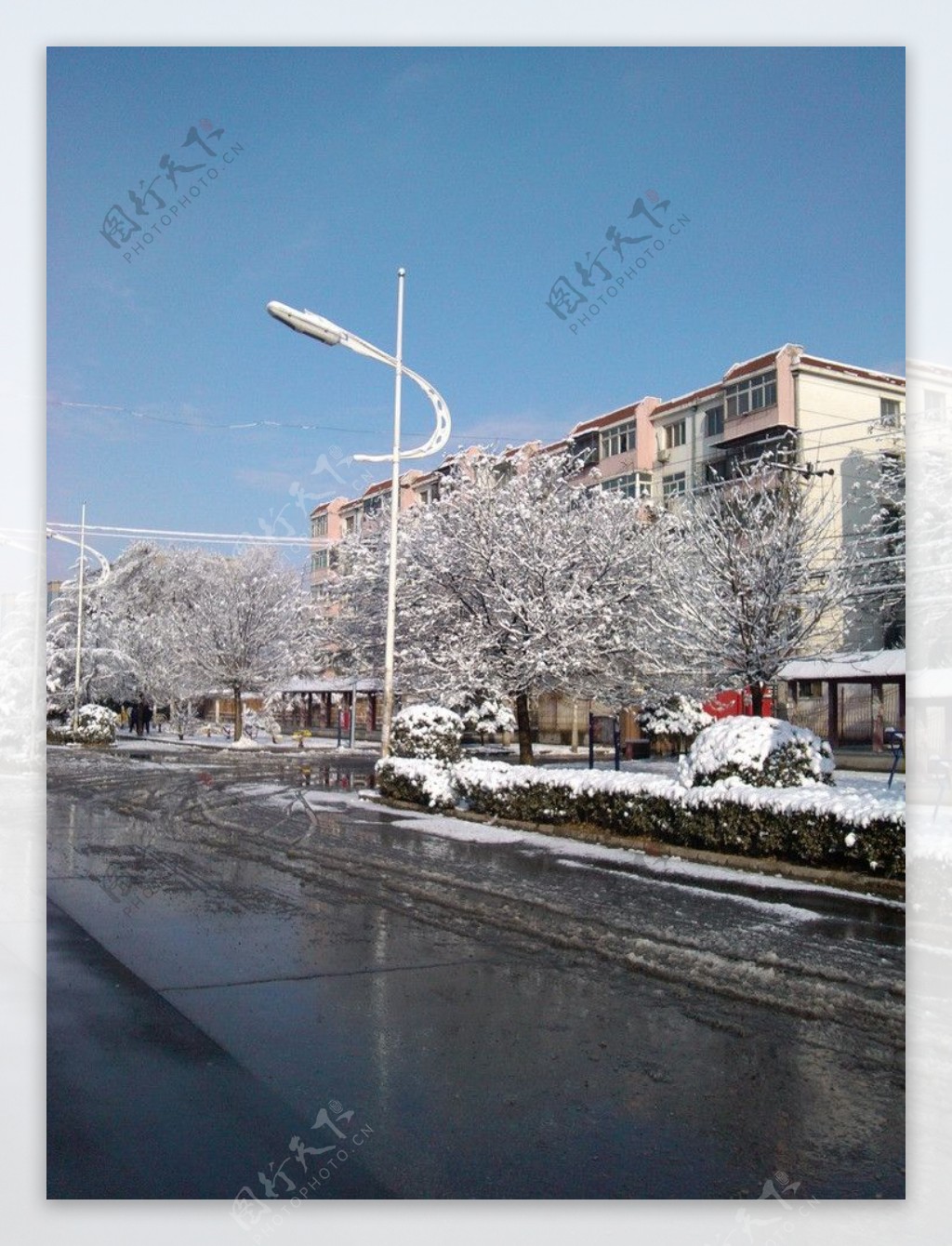 雪后景色图片