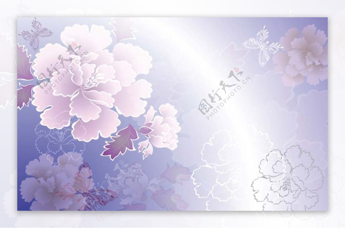 紫色牡丹背景图片