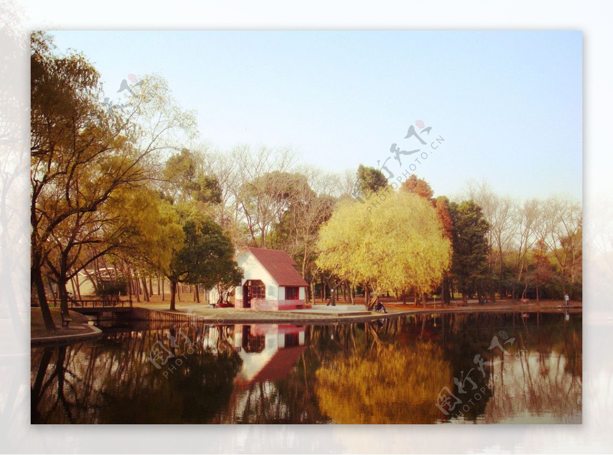 上海共青森林公园风光图片